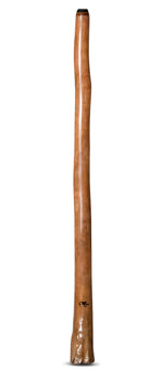 Tristan O'Meara Didgeridoo (TM260)